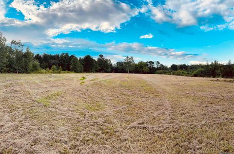 Vacant Land For Sale - 2021 Nesom Rd<br/> Saint Helena County, Denham Springs, LA 70706