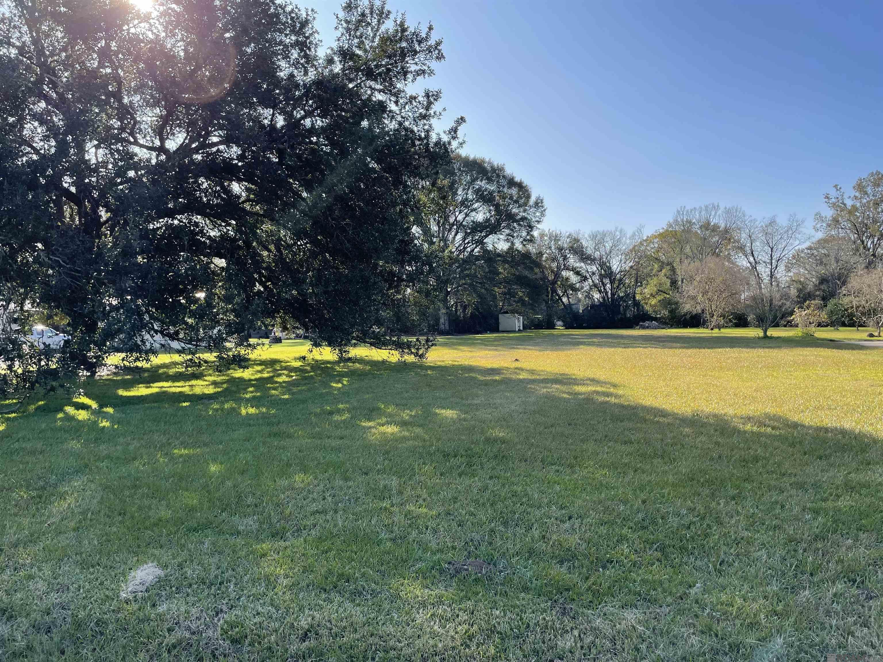 40437 D Black Bayou Ext, Gonzales, Louisiana image 3