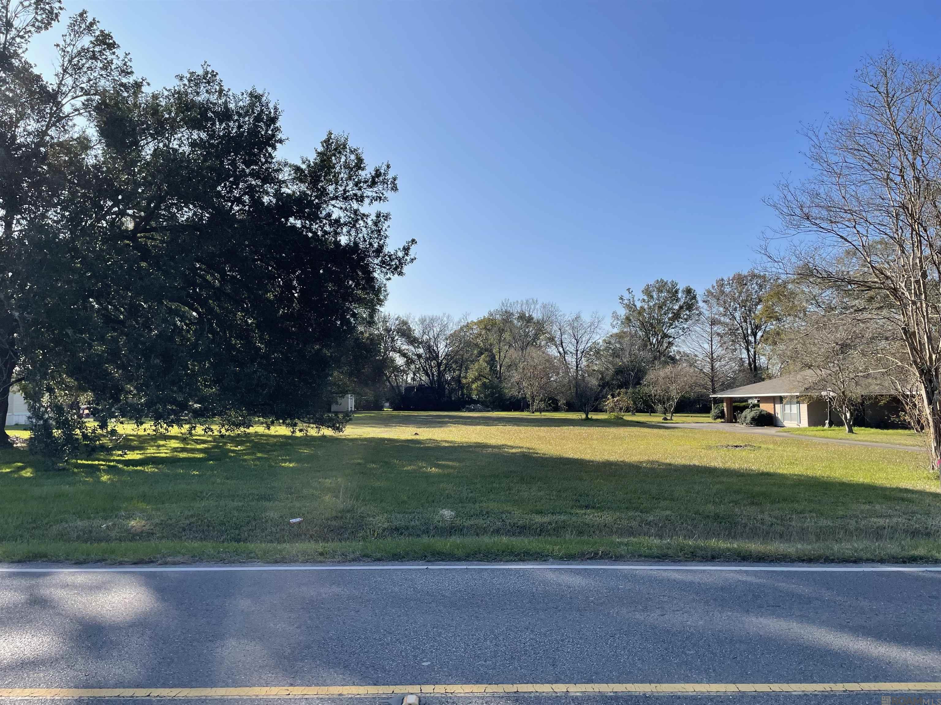 40437 D Black Bayou Ext, Gonzales, Louisiana image 2
