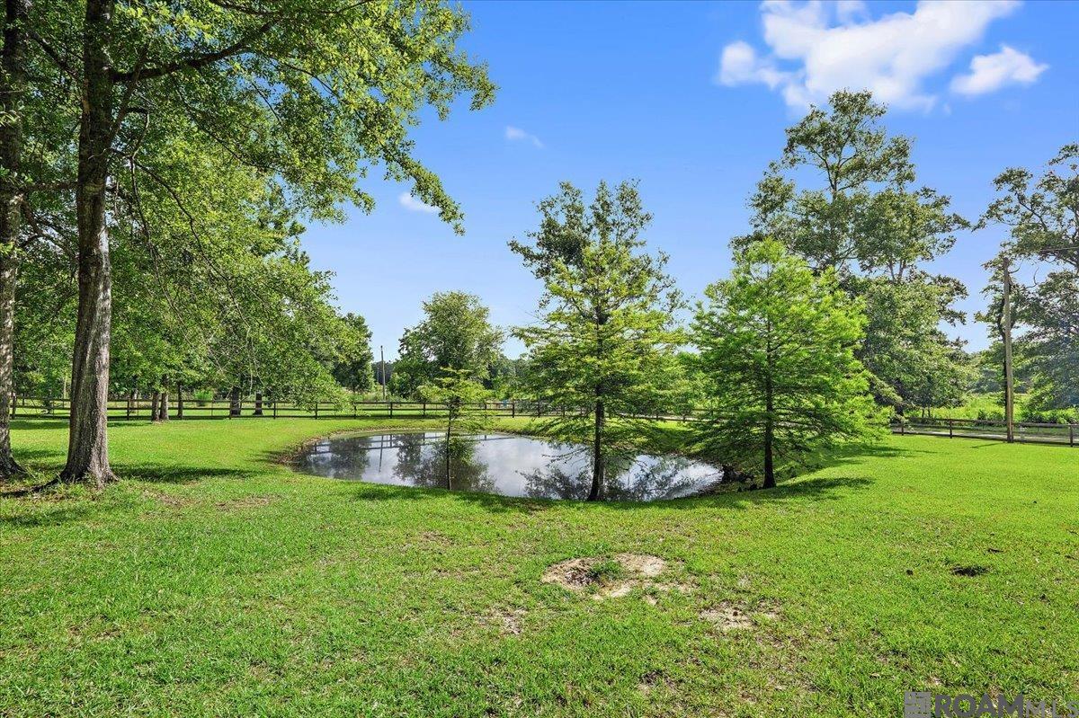 730 Hundred Oaks Dr, Montpelier, Louisiana image 16