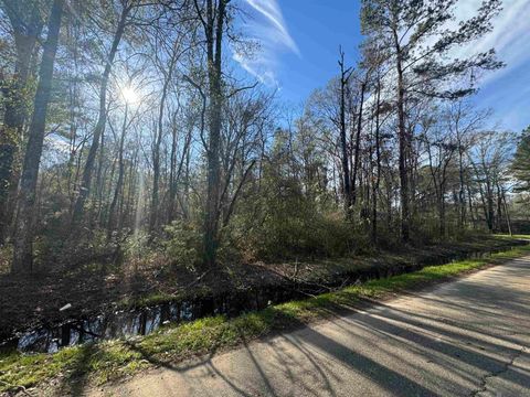 Vacant Land For Sale - LOT 4-A Joe Lee Rd<br/> Walker, LA 70785