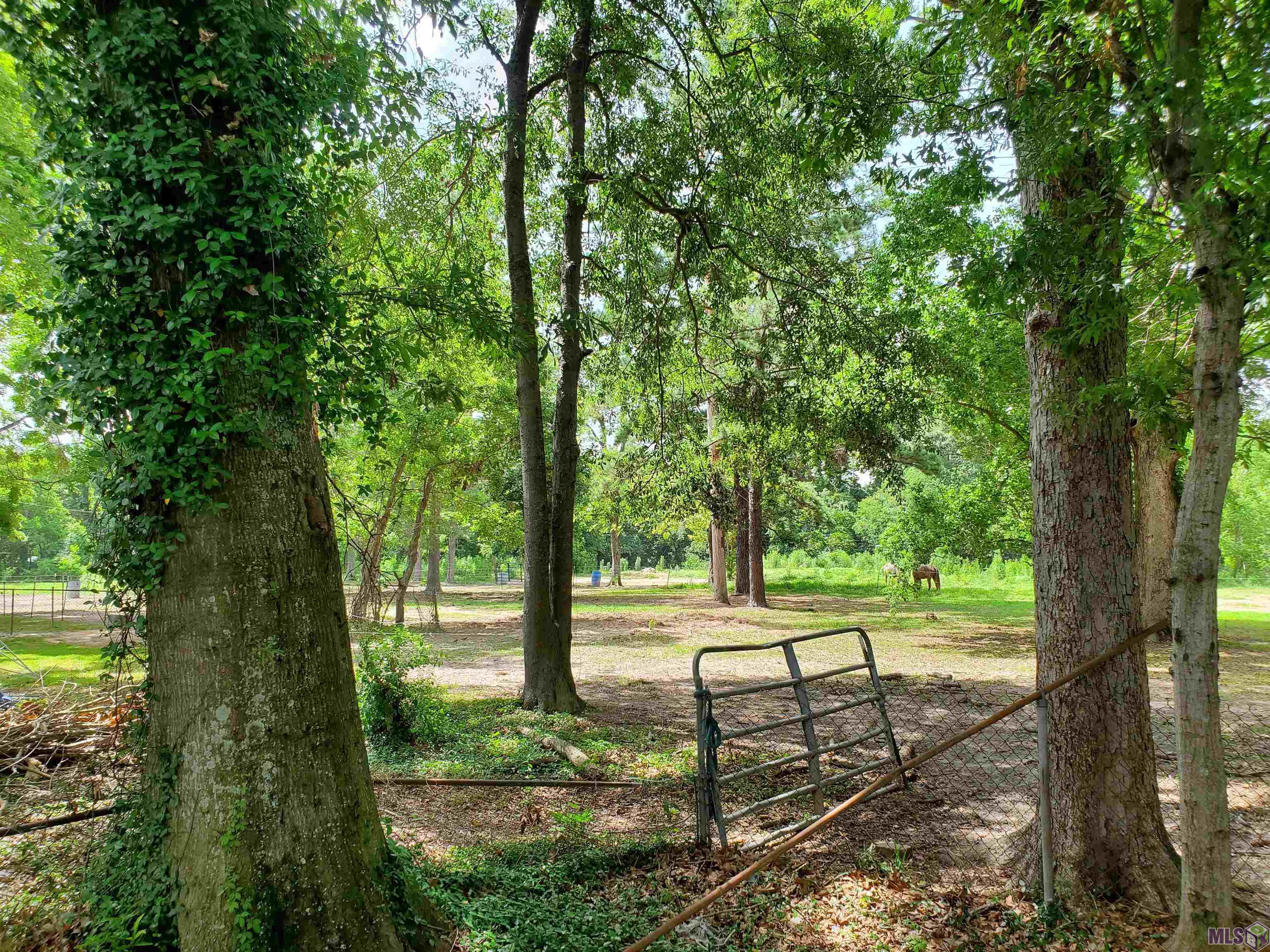 Lot 15pt Rosenwald Rd, Baton Rouge, Louisiana image 3