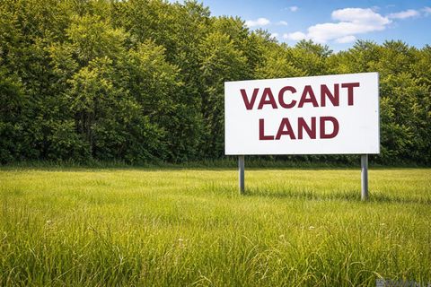 Vacant Land For Sale - 26277 Riverscape Dr<br/> Springfield, LA 70462