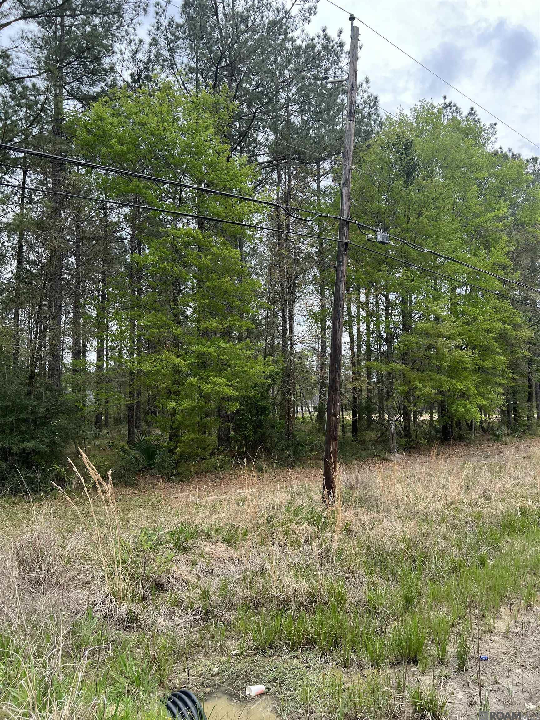 Lot 18 La Hwy 63, Livingston, Louisiana image 5