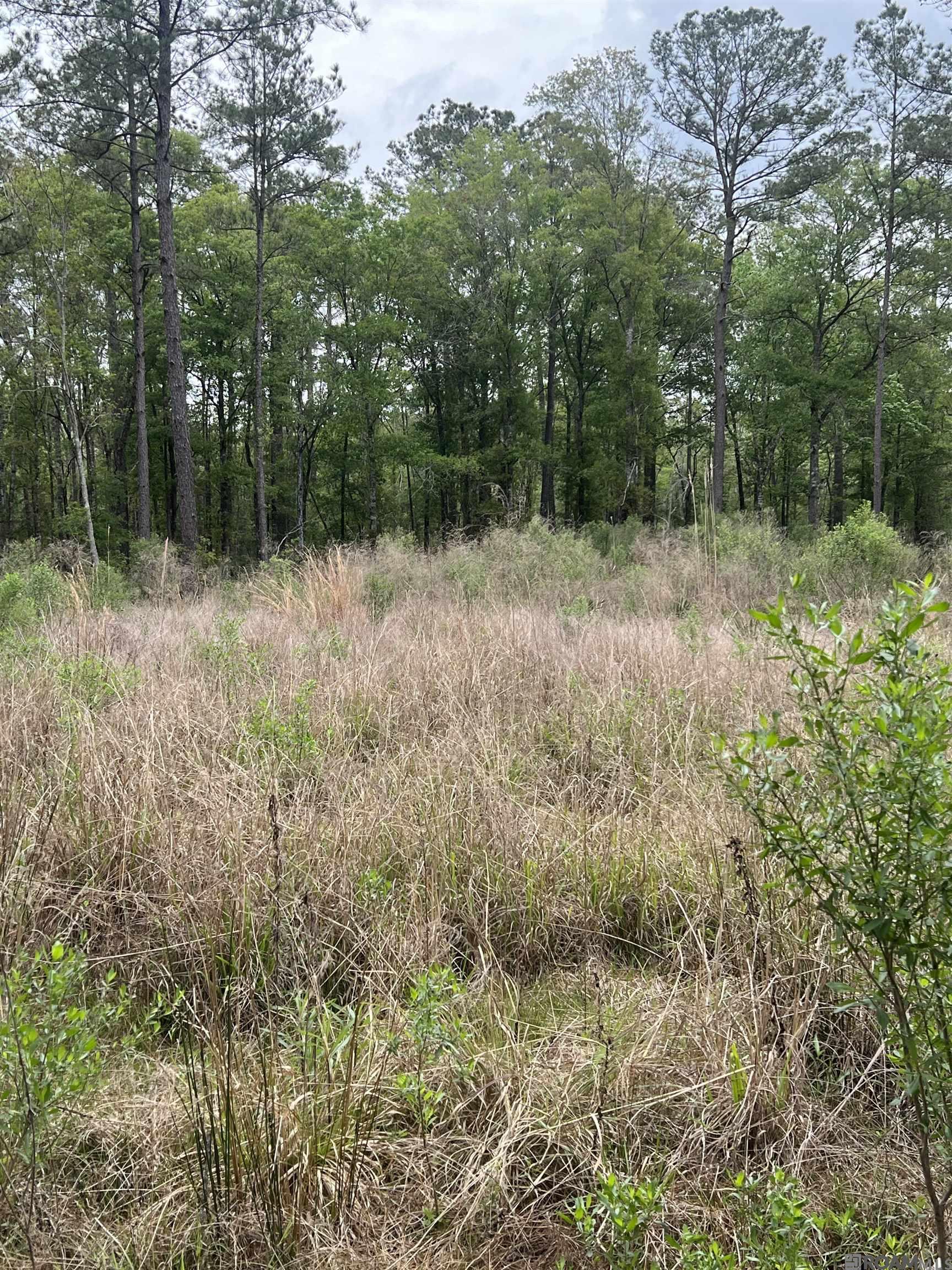 Lot 18 La Hwy 63, Livingston, Louisiana image 1