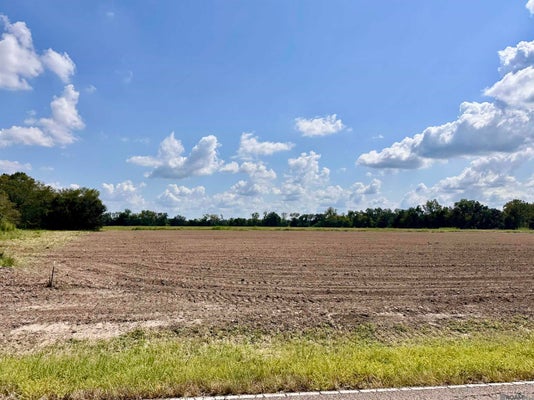 STATE RTE 22, DARROW, LA 70725 - Image d62e2e79d758ae257aaa2a2acf75a89a/1060188386