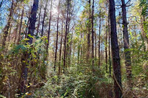 Vacant Land For Sale - 01 Bobcat Lane<br/> Amite, LA 70422