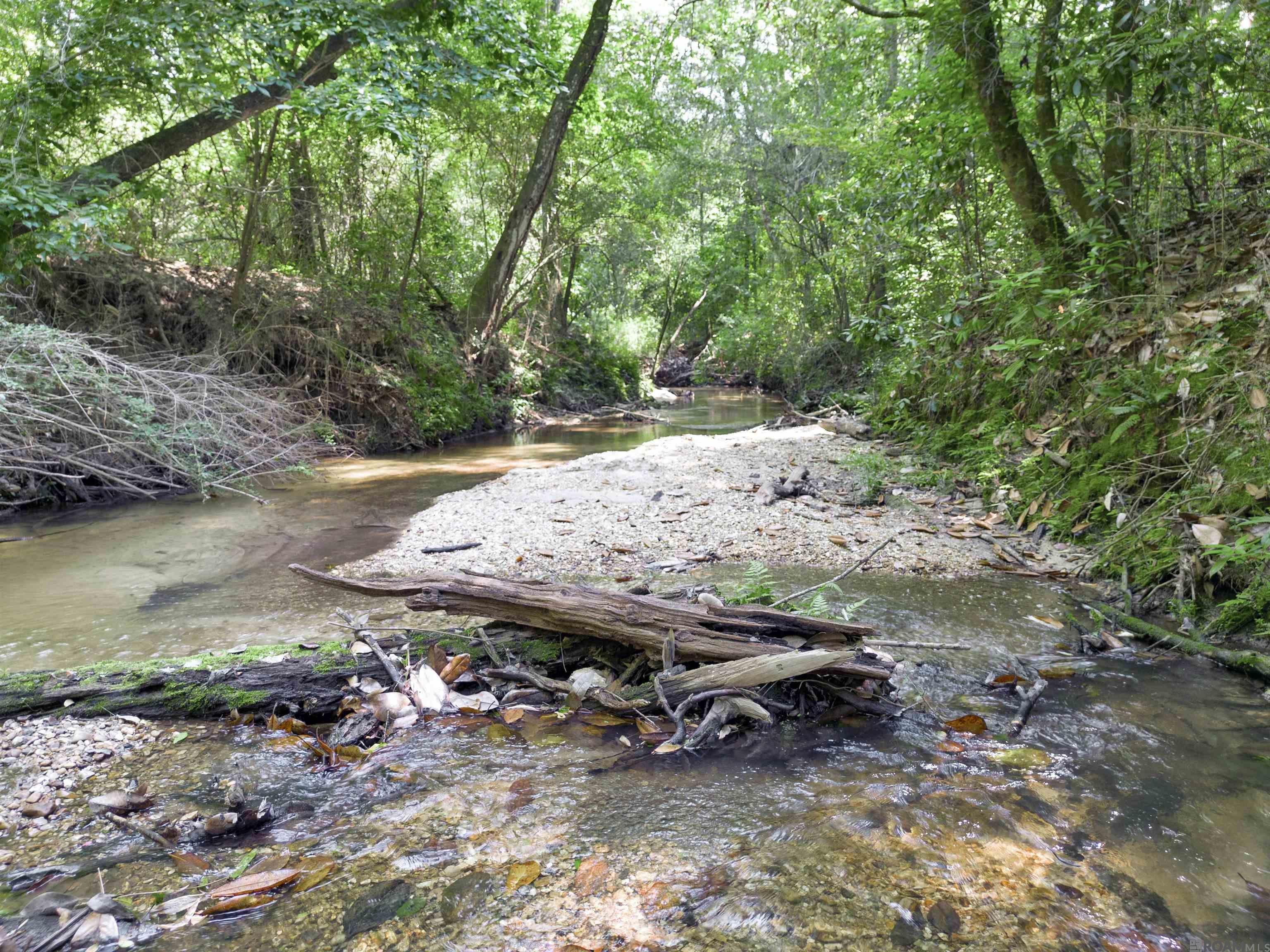 Lot 2 & 3 Hwy 62, Franklinton, Louisiana image 9