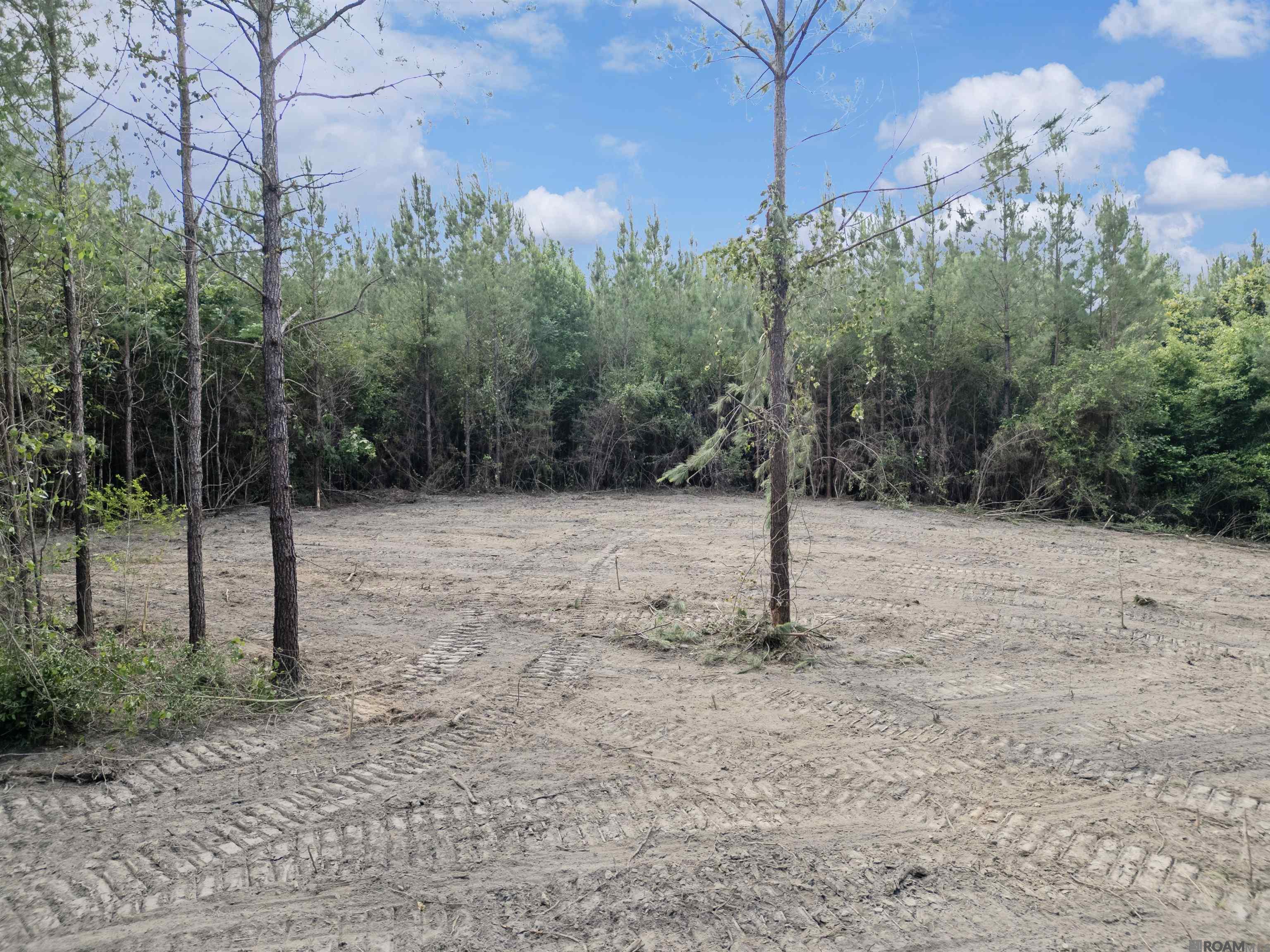 Lot 2 & 3 Hwy 62, Franklinton, Louisiana image 5