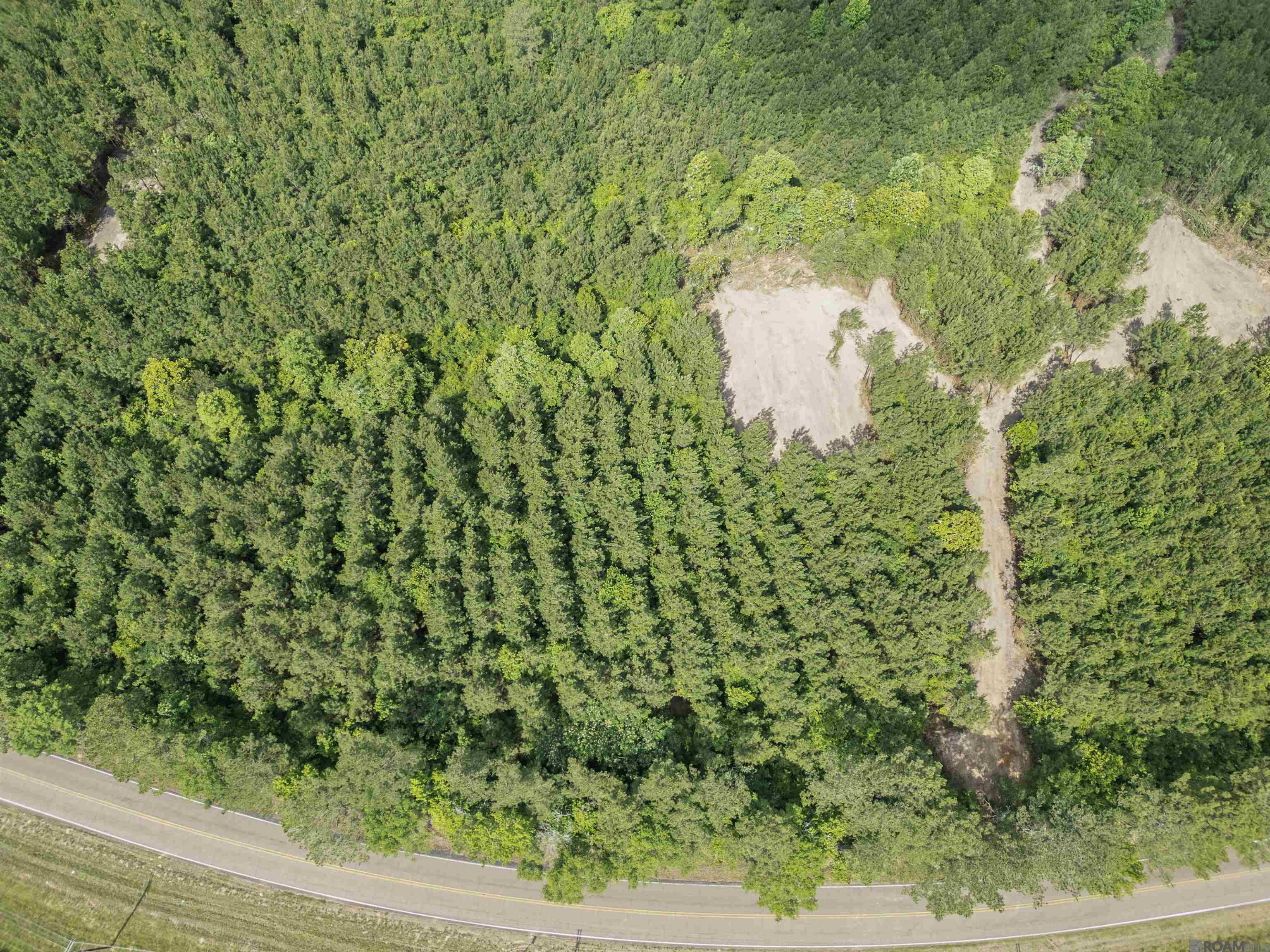 Lot 2 & 3 Hwy 62, Franklinton, Louisiana image 4