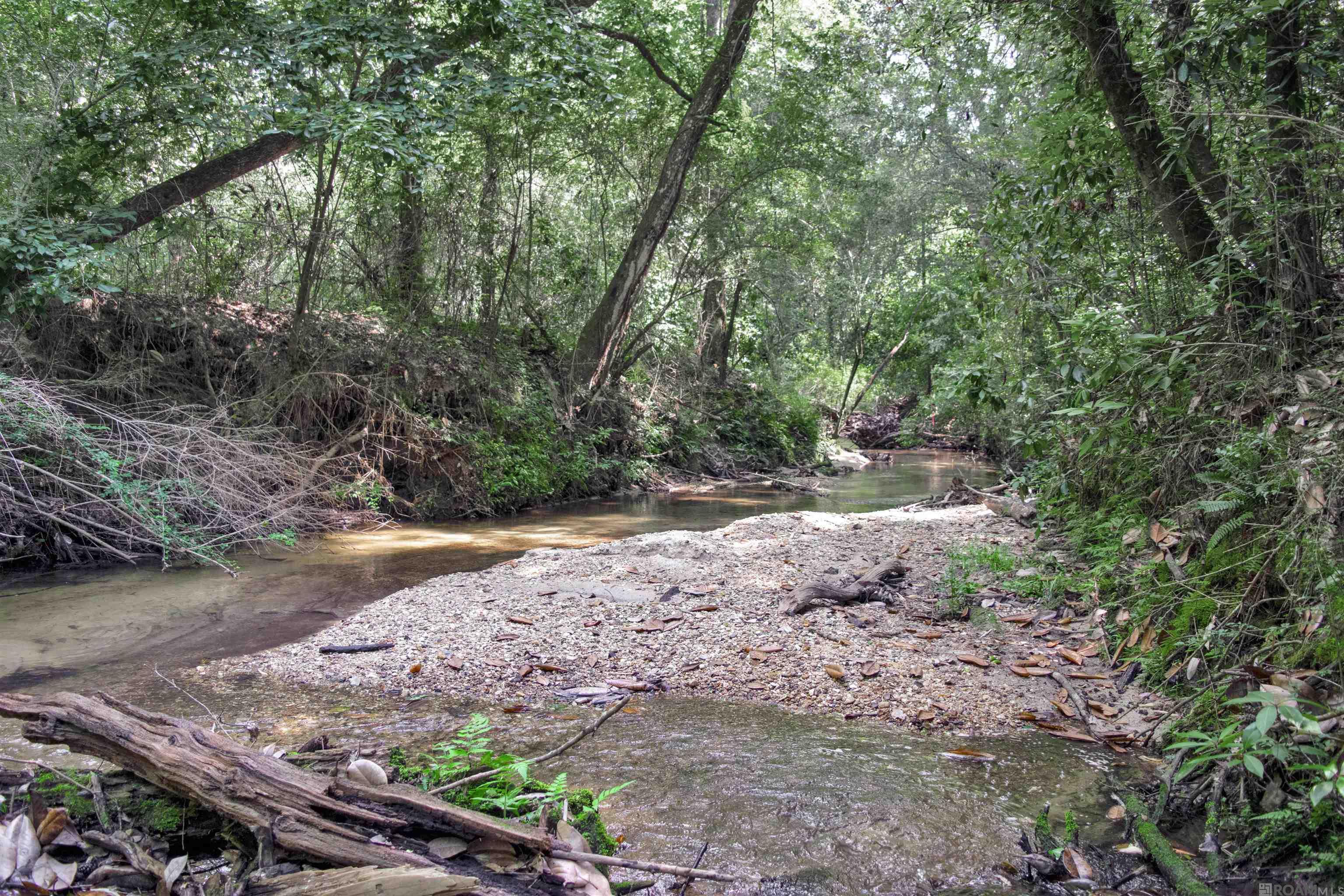 Lot 2 & 3 Hwy 62, Franklinton, Louisiana image 1