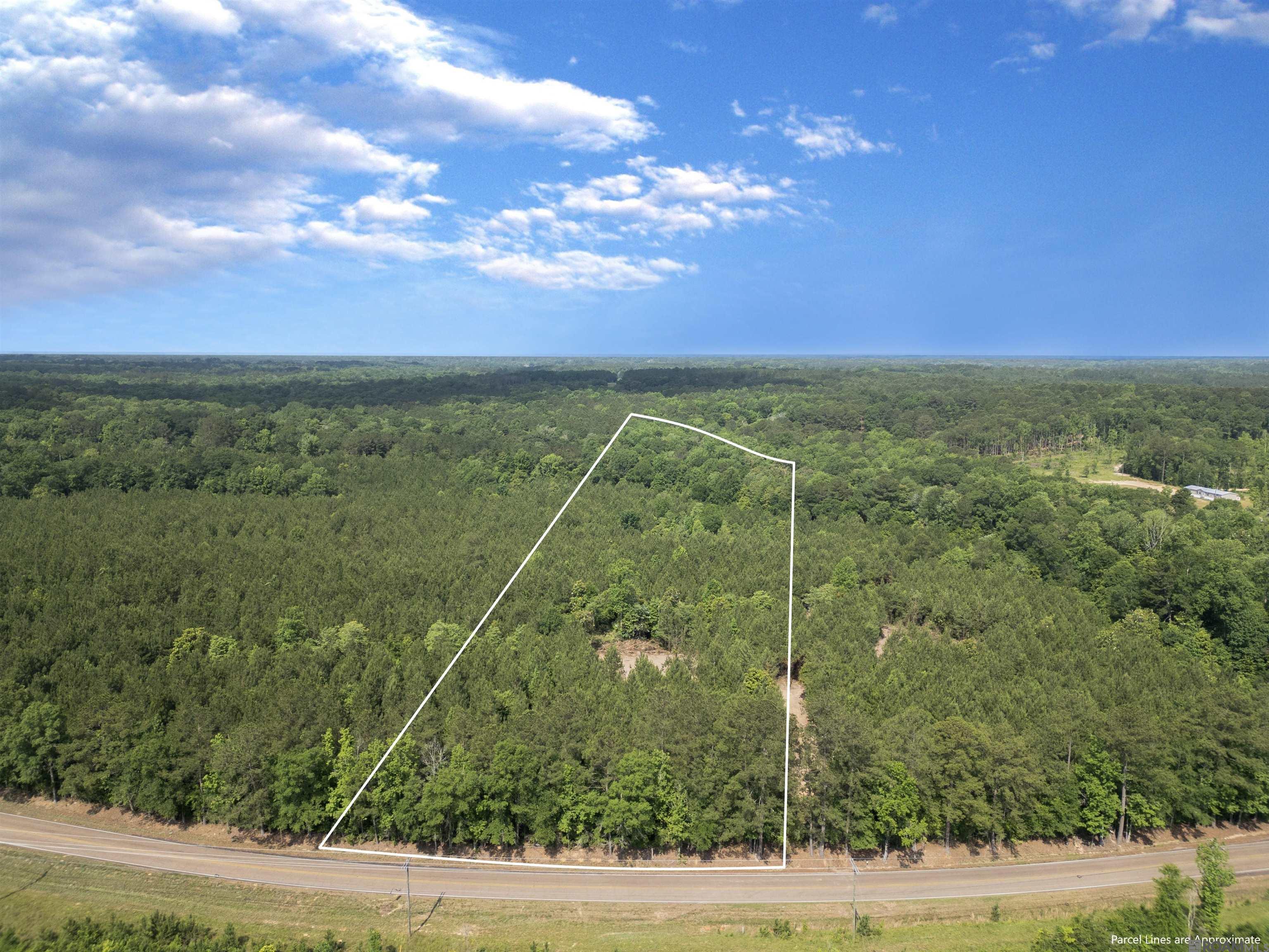 Lot 2 & 3 Hwy 62, Franklinton, Louisiana image 2