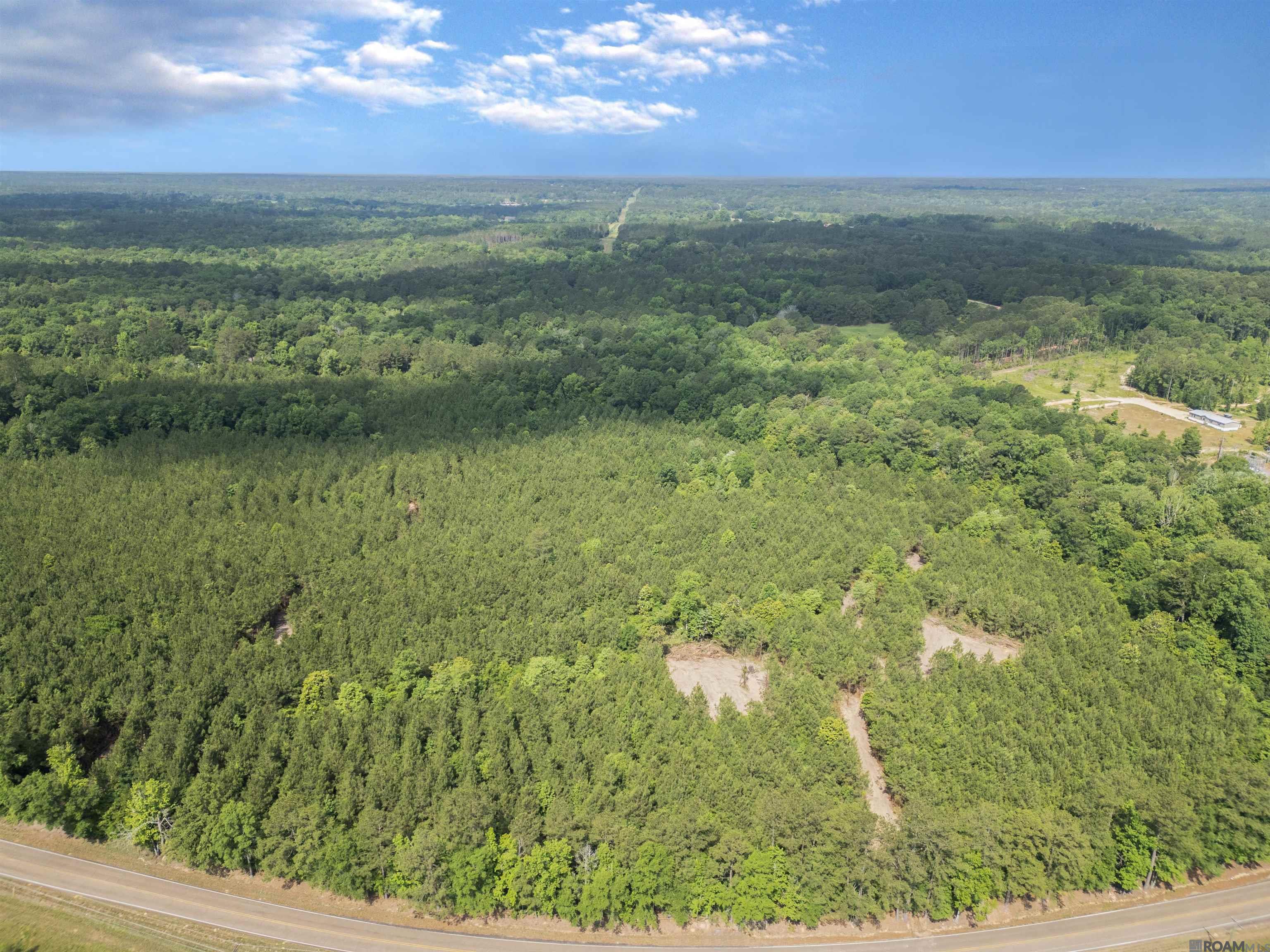 Lot 2 & 3 Hwy 62, Franklinton, Louisiana image 8