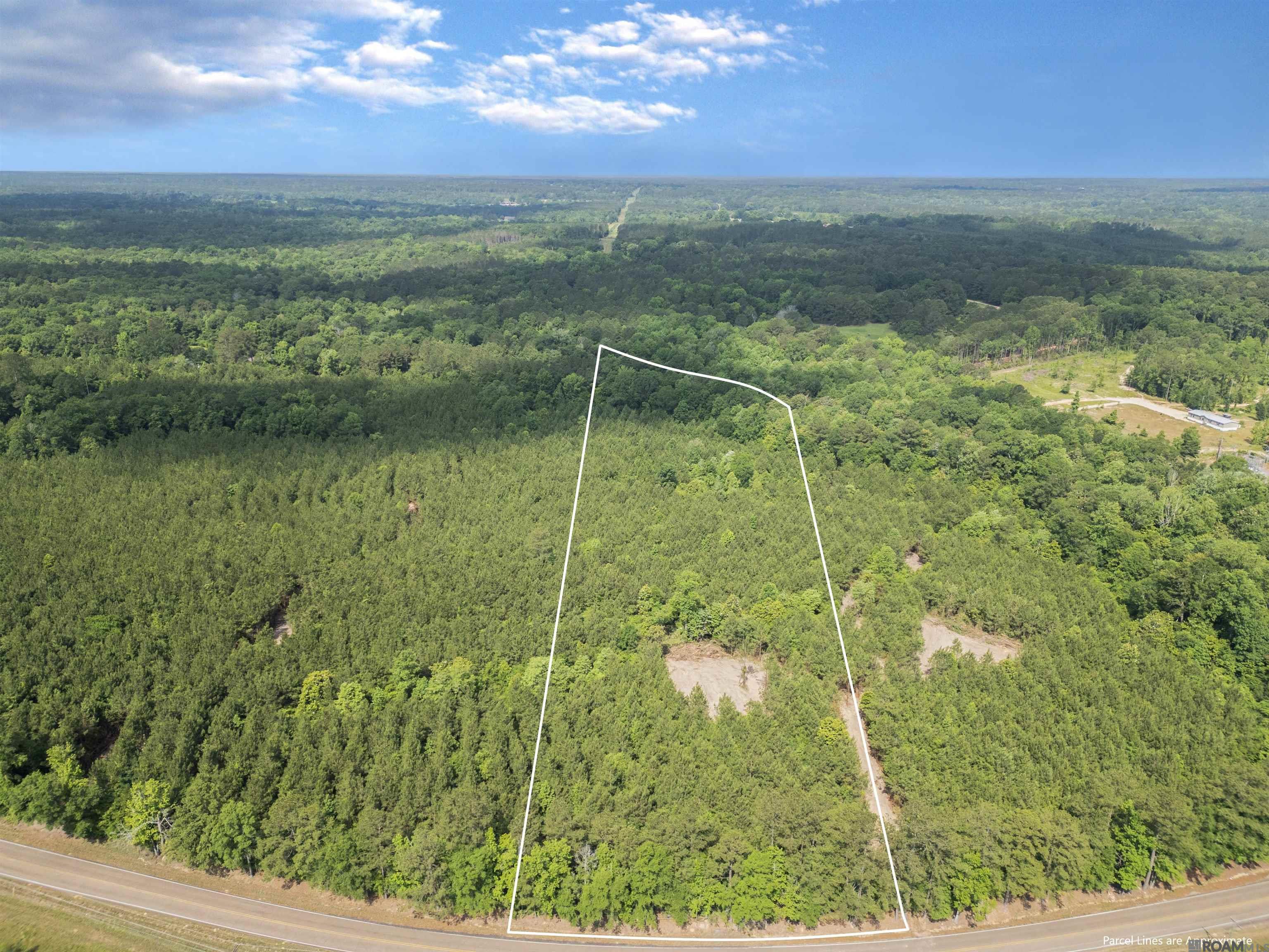 Lot 2 & 3 Hwy 62, Franklinton, Louisiana image 10