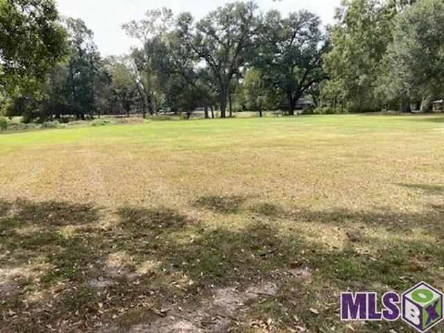 17229 E Swamp Rd, Prairieville, Louisiana image 5