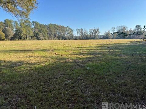 Vacant Land For Sale - TBD Buck Carroll Rd<br/> Walker, LA 70785