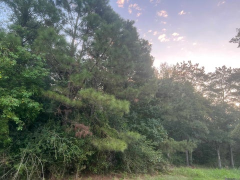 Vacant Land For Sale - LOT 6-A-2 Hwy 10<br/> East Feliciana County, Clinton, LA 70722