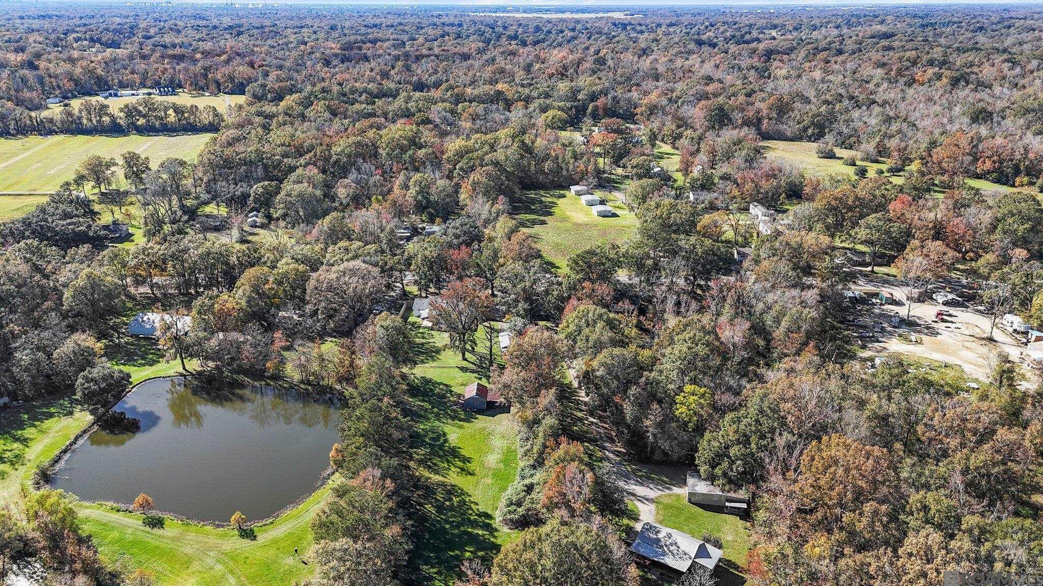 10466 Blackwater Rd, Central, Louisiana image 34