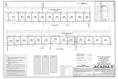 Vacant Land For Sale - 3770 Highway 1<br/> Napoleonville, LA 70390