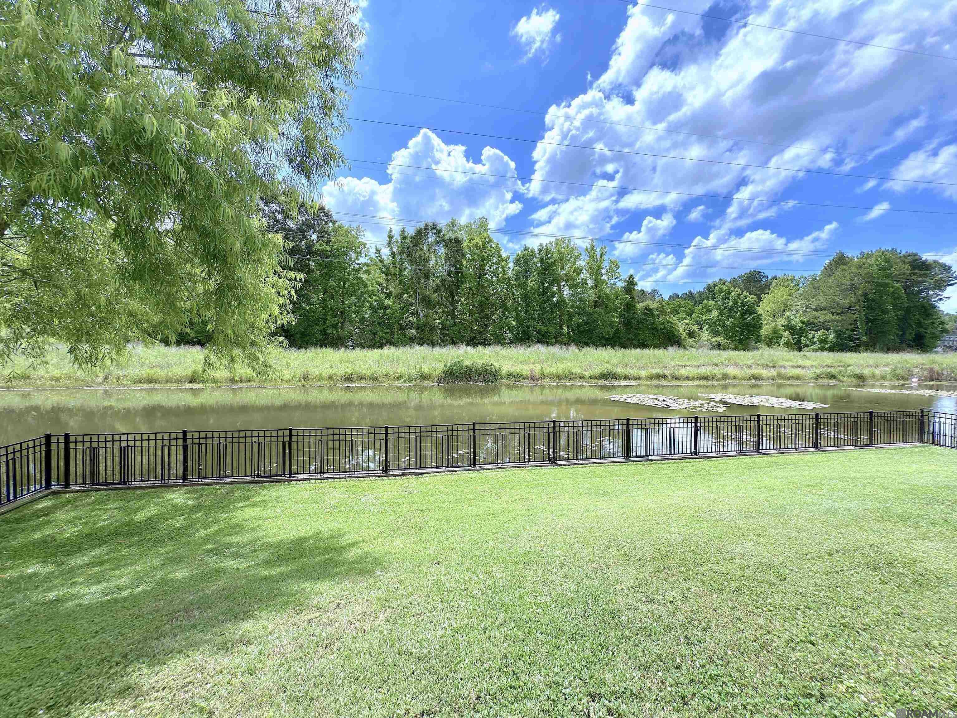 12047 Old Canal Rd, Greenwell Springs, Louisiana image 29