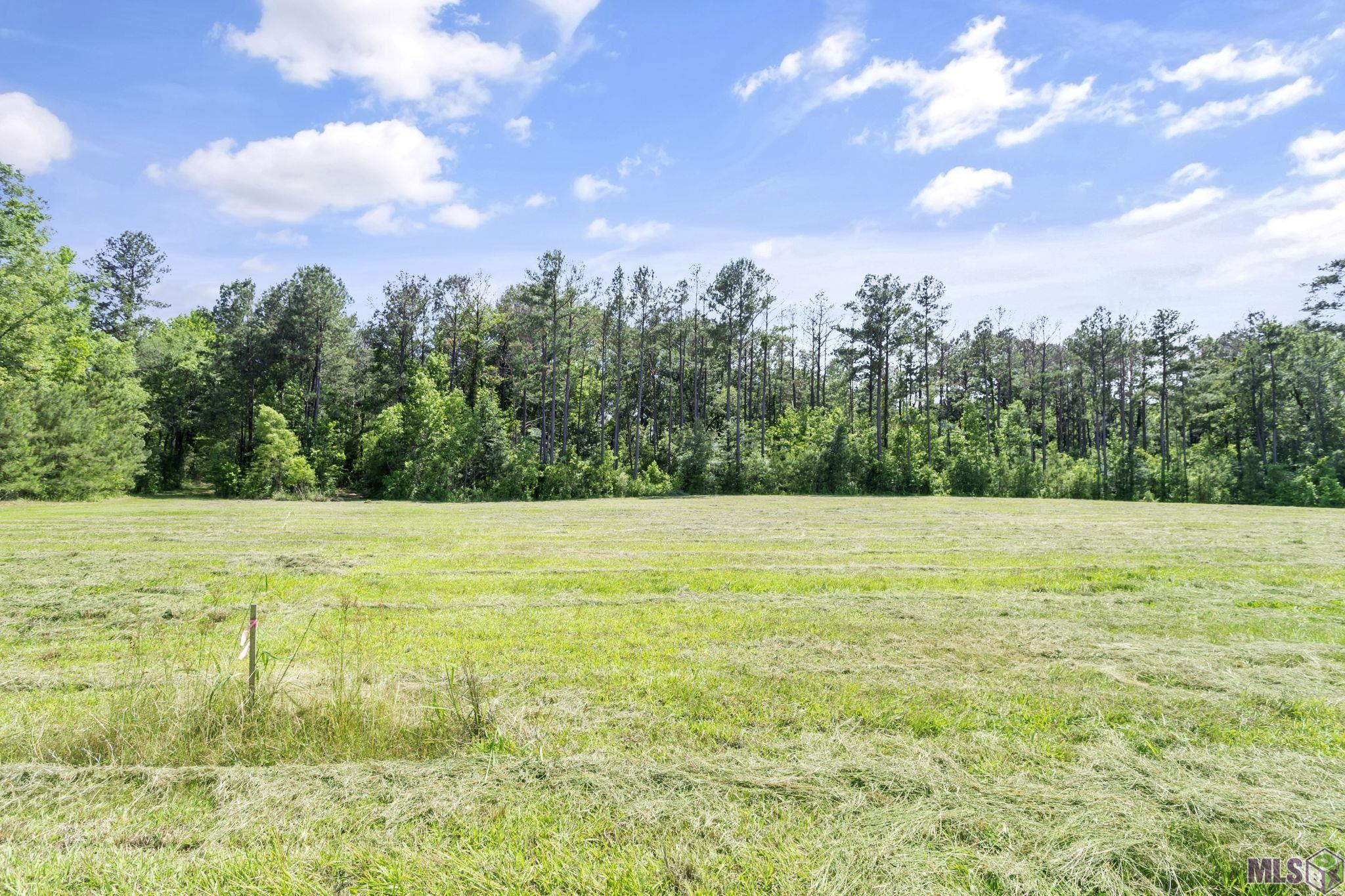 Lot 2 Freeland Rd, Saint Francisville, Louisiana image 7