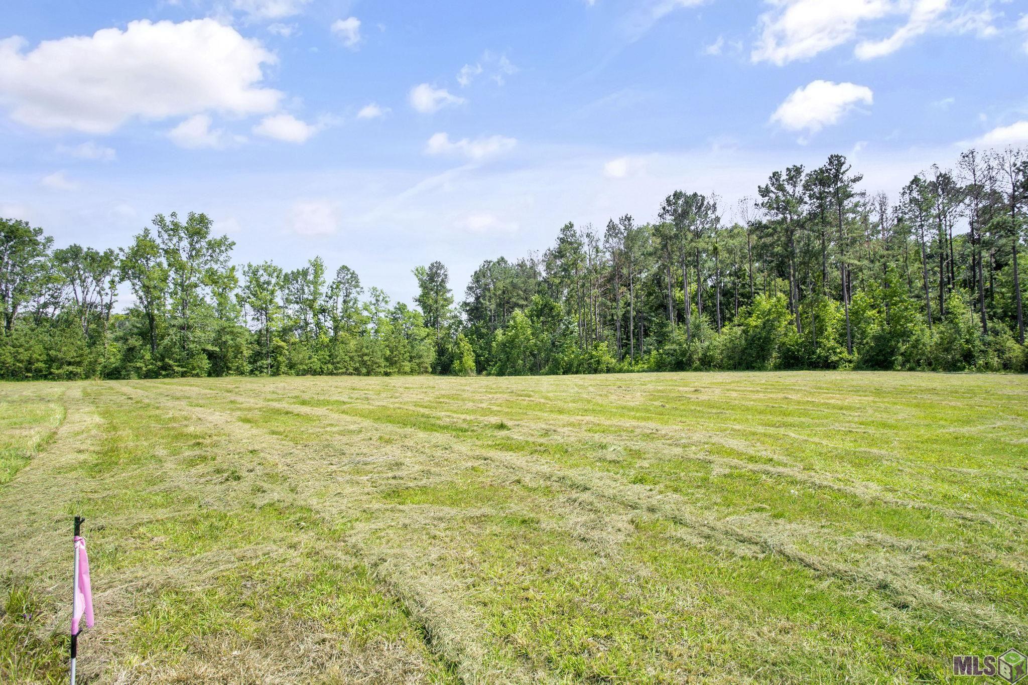 Lot 2 Freeland Rd, Saint Francisville, Louisiana image 1