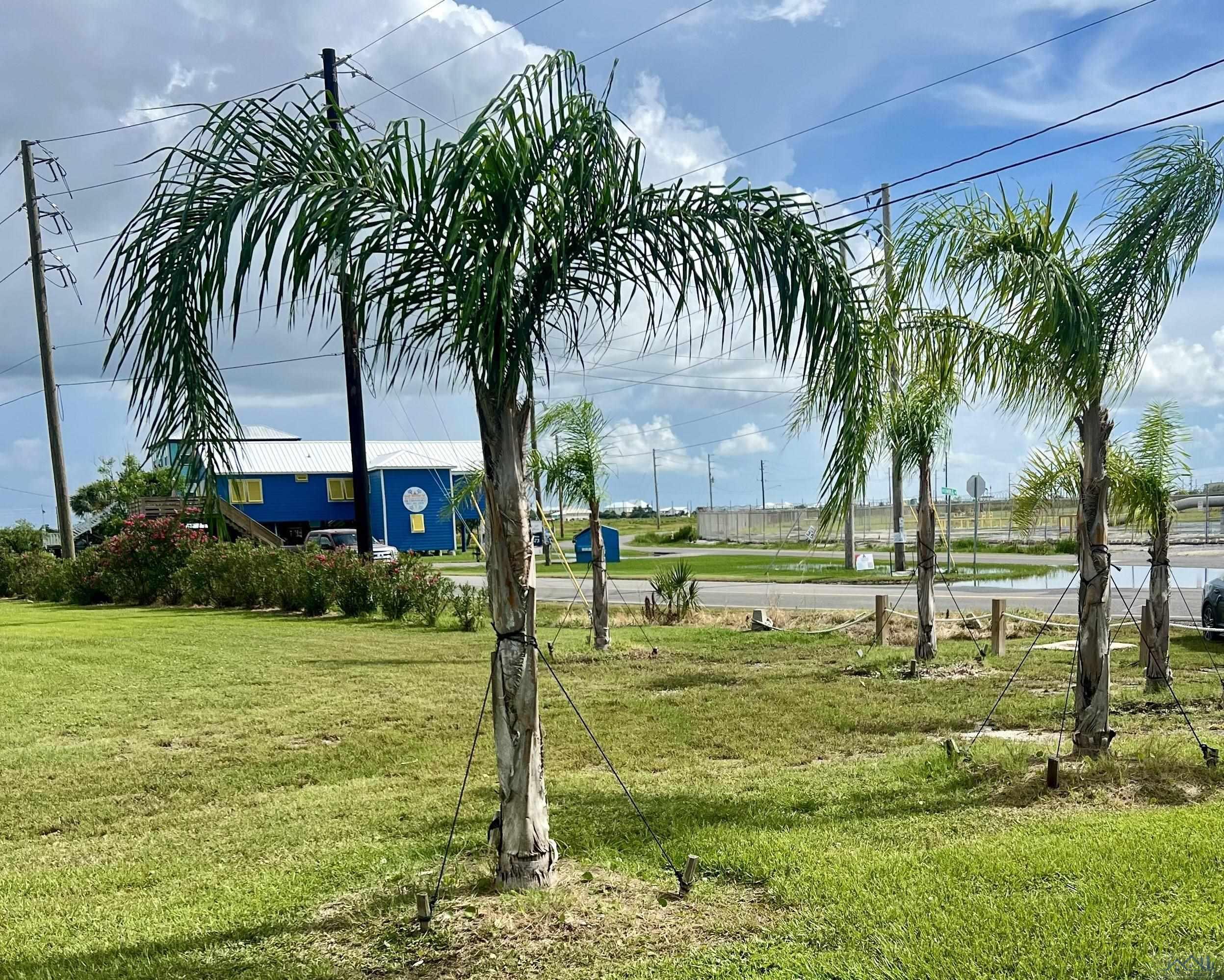 8000 Angela Ln, Grand Isle, Louisiana image 2