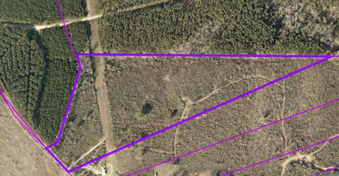 Vacant Land For Sale - TBD-TRACT 1 Gilead Rd<br/> Clinton, LA 70722
