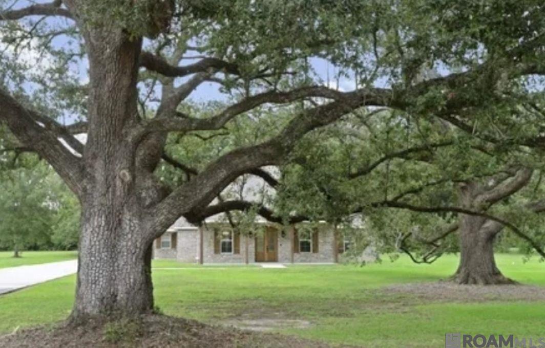13478 Crawford Rd, Gonzales, Louisiana image 3