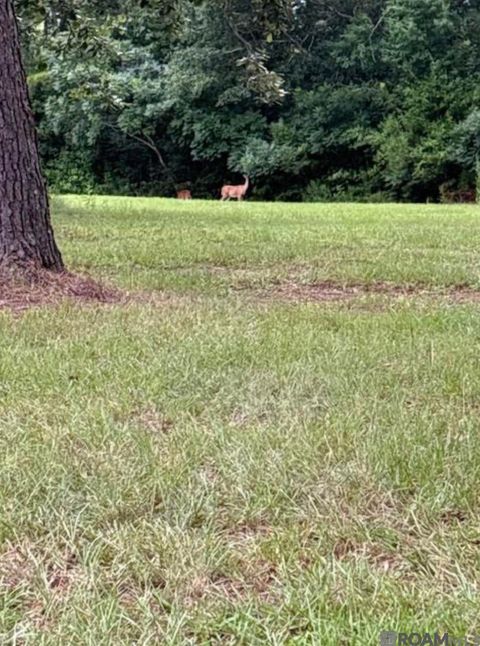 Vacant Land For Sale - TBD La Hwy 22<br/> Springfield, LA 70462