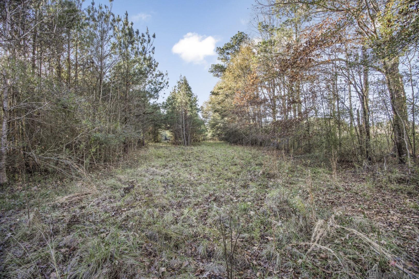 TBD La Hwy 967, Saint Francisville, Louisiana image 6