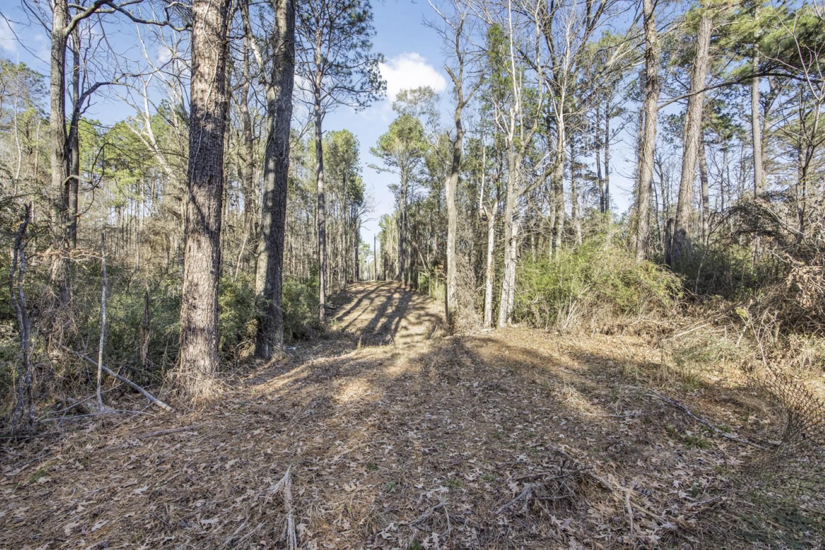 TBD La Hwy 967, Saint Francisville, Louisiana image 1