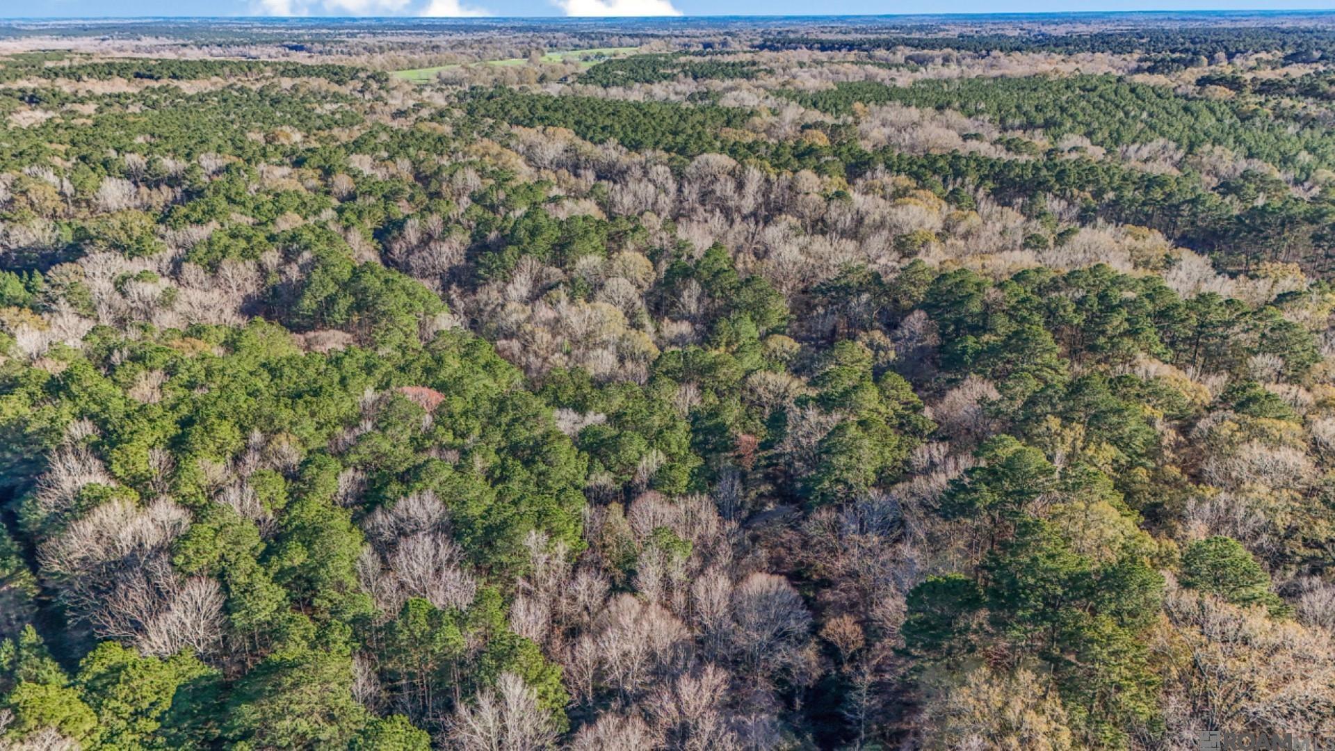 TBD La Hwy 967, Saint Francisville, Louisiana image 16