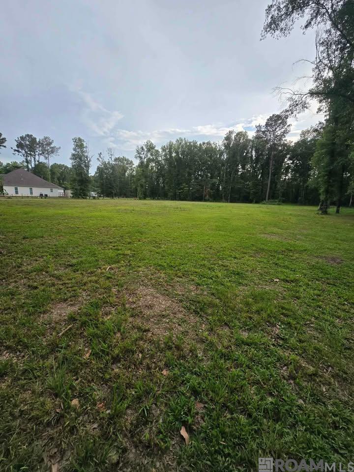 11656 Brown Rd, Denham Springs, Louisiana image 6