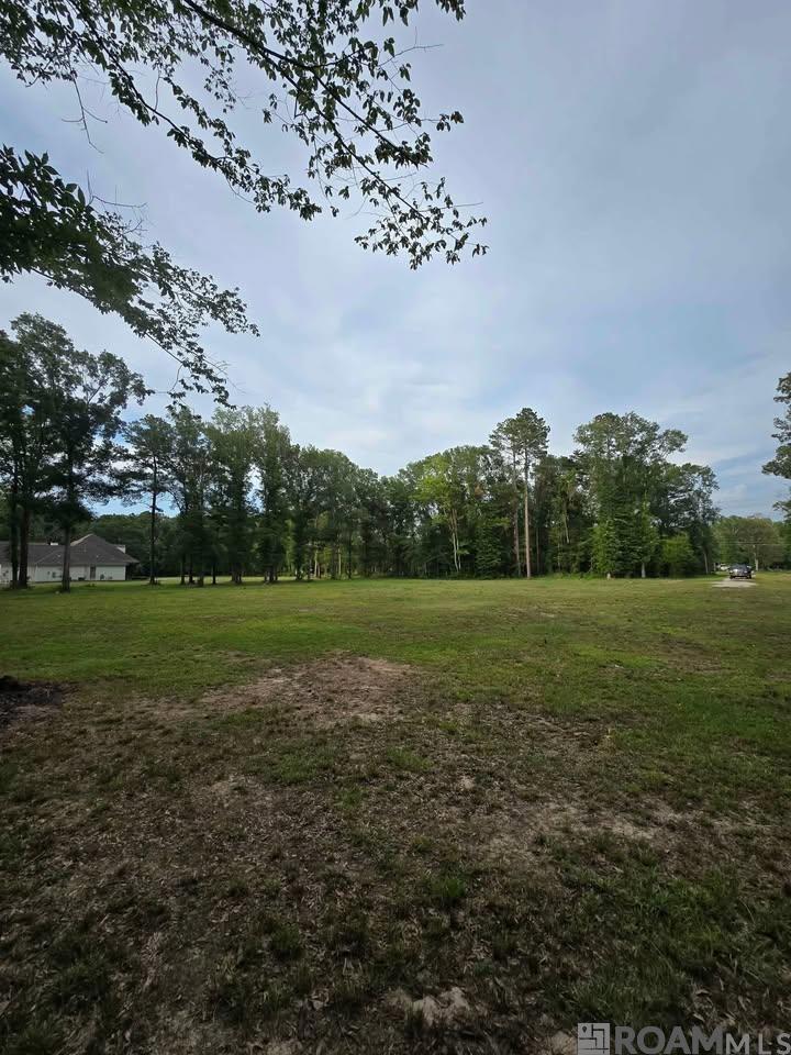 11656 Brown Rd, Denham Springs, Louisiana image 4