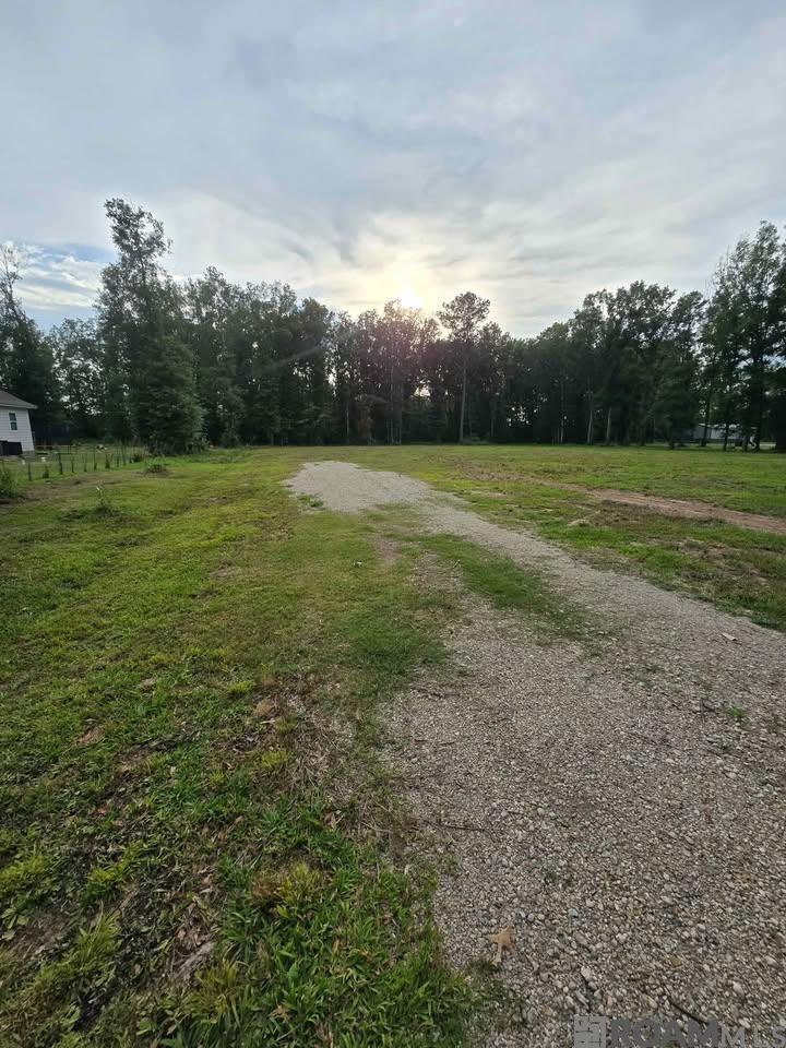 11656 Brown Rd, Denham Springs, Louisiana image 1