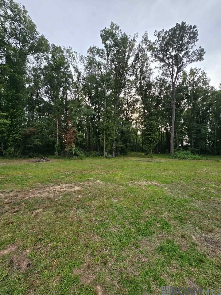 11656 Brown Rd, Denham Springs, Louisiana image 3