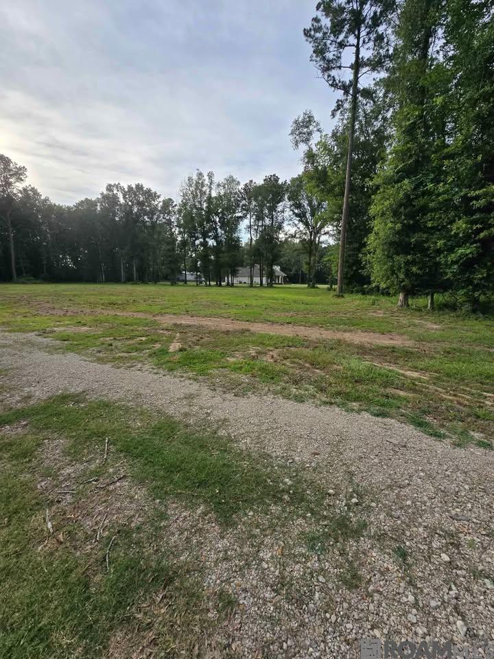 11656 Brown Rd, Denham Springs, Louisiana image 2