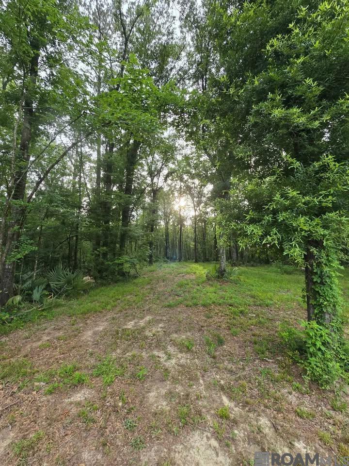 11656 Brown Rd, Denham Springs, Louisiana image 5