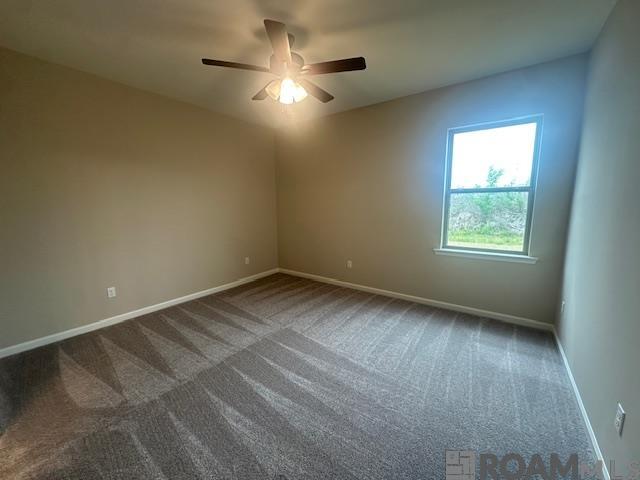 17433 Berkshire Dr #46, Prairieville, Louisiana image 21