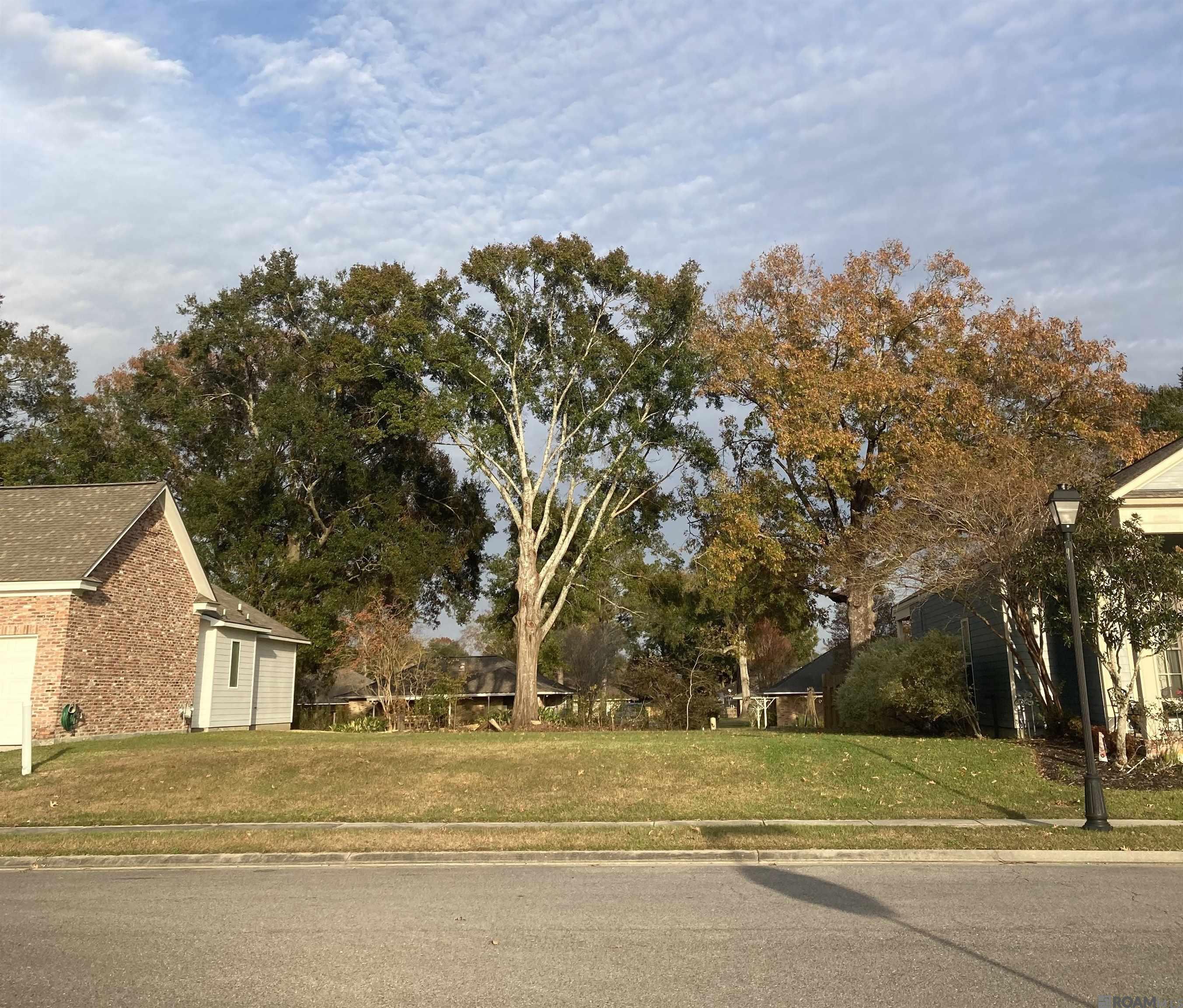 3700-3900 Ashworth Dr, Baton Rouge, Louisiana image 1