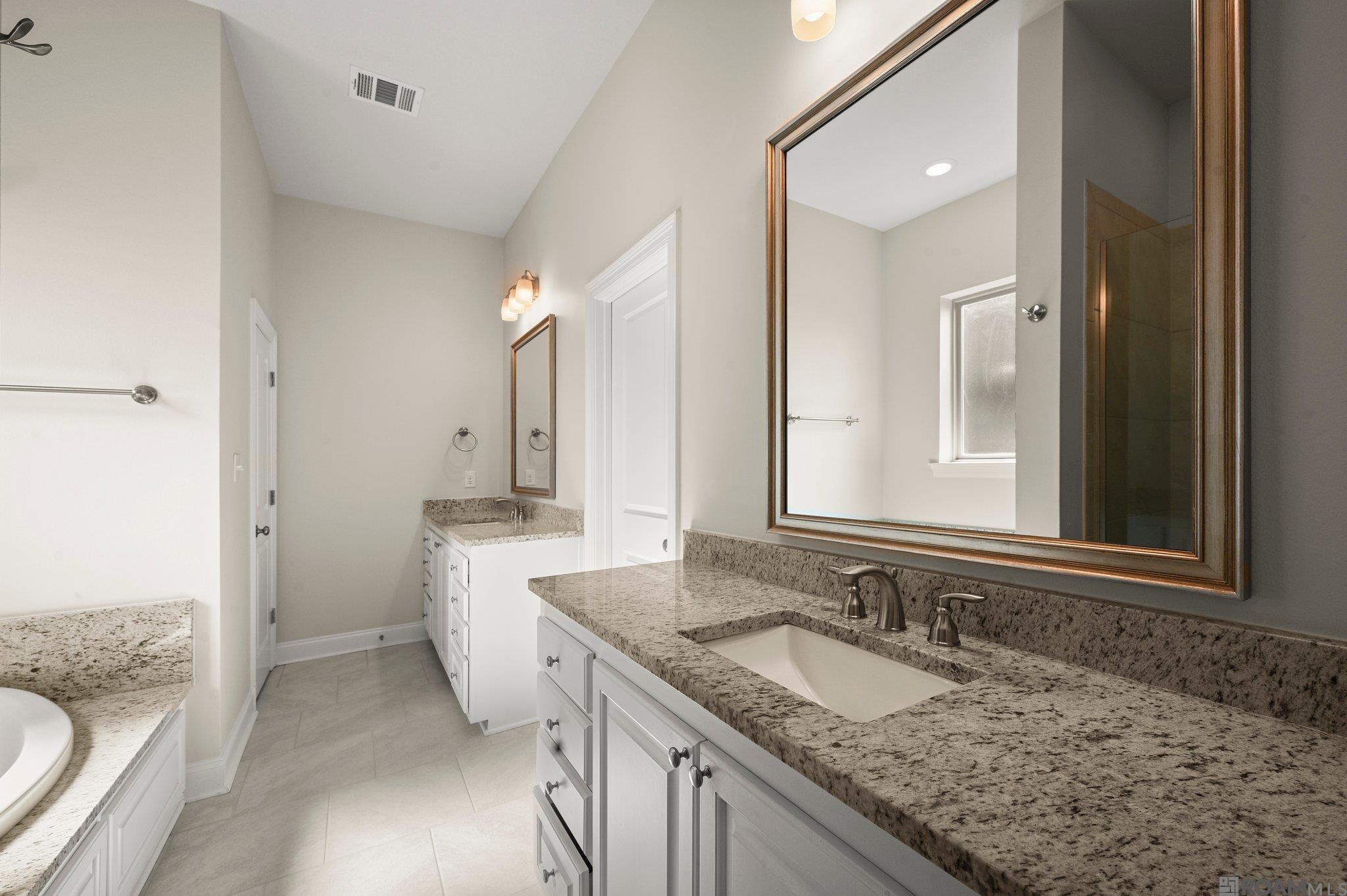 36436 Belle Savanne Ave, Geismar, Louisiana image 17