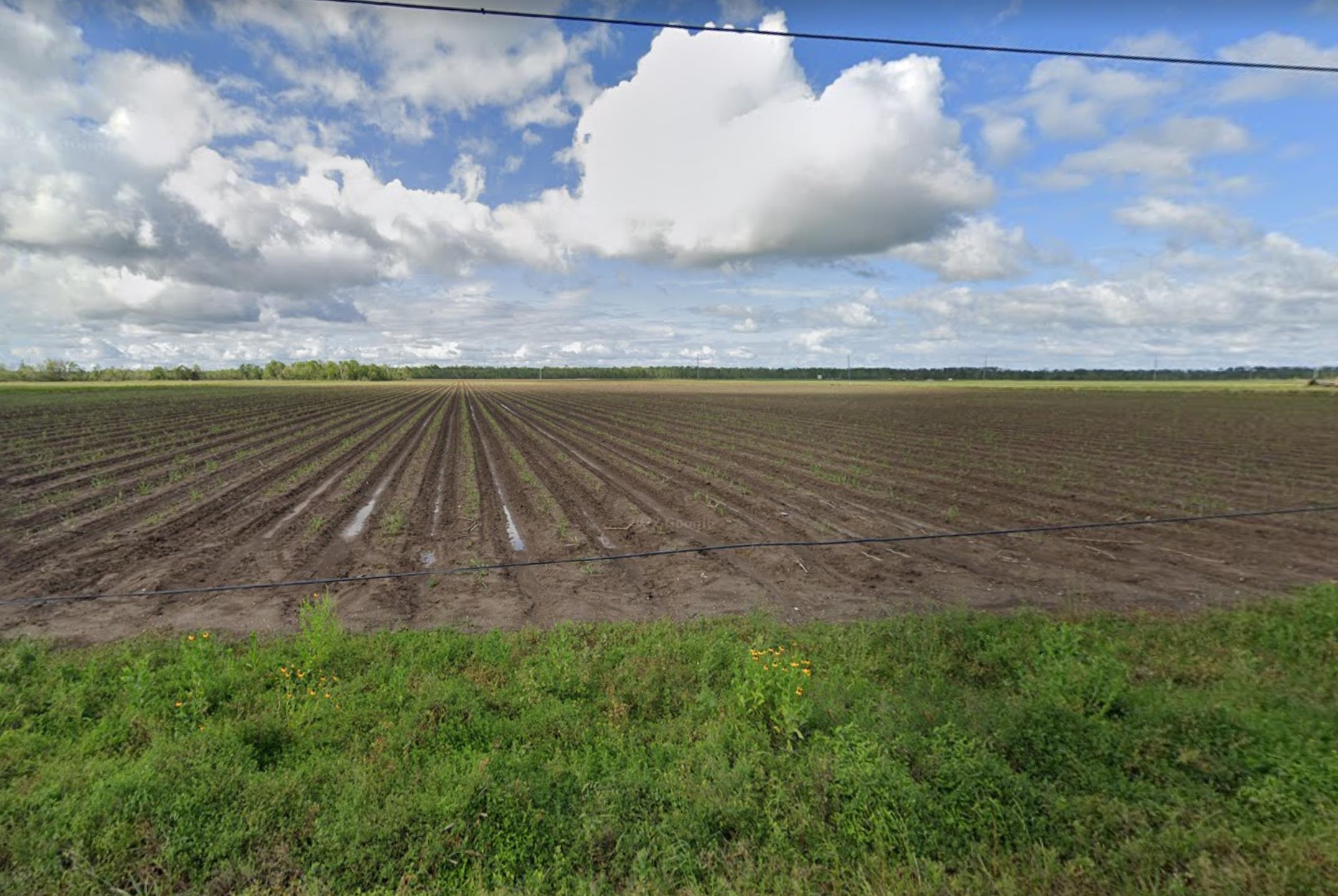 TBD Highway 308, Lockport, Louisiana image 1