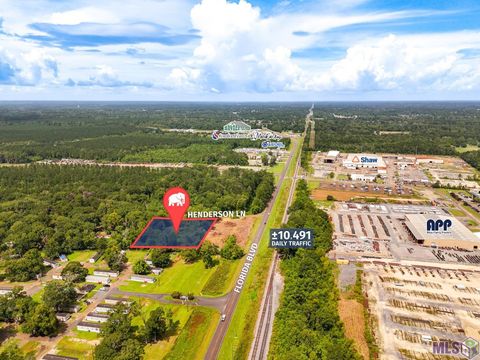 Vacant Land For Sale - 29960 Henderson Ln<br/> Walker, LA 70785