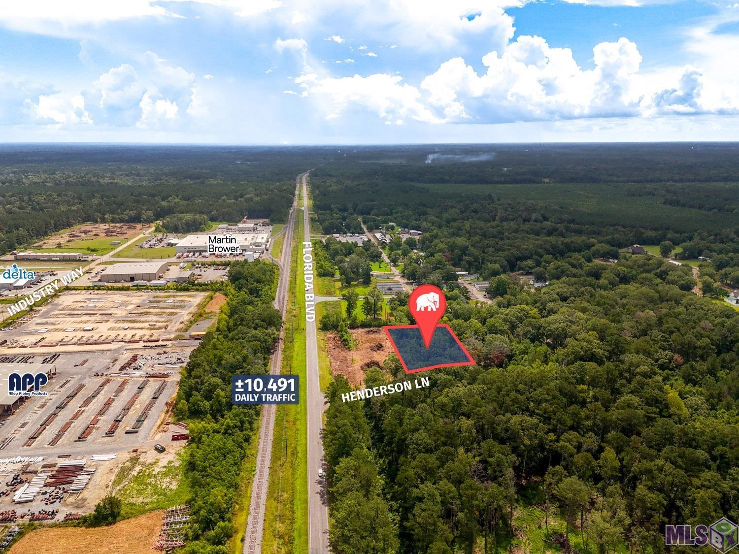 29960 Henderson Ln, Walker, Louisiana image 5