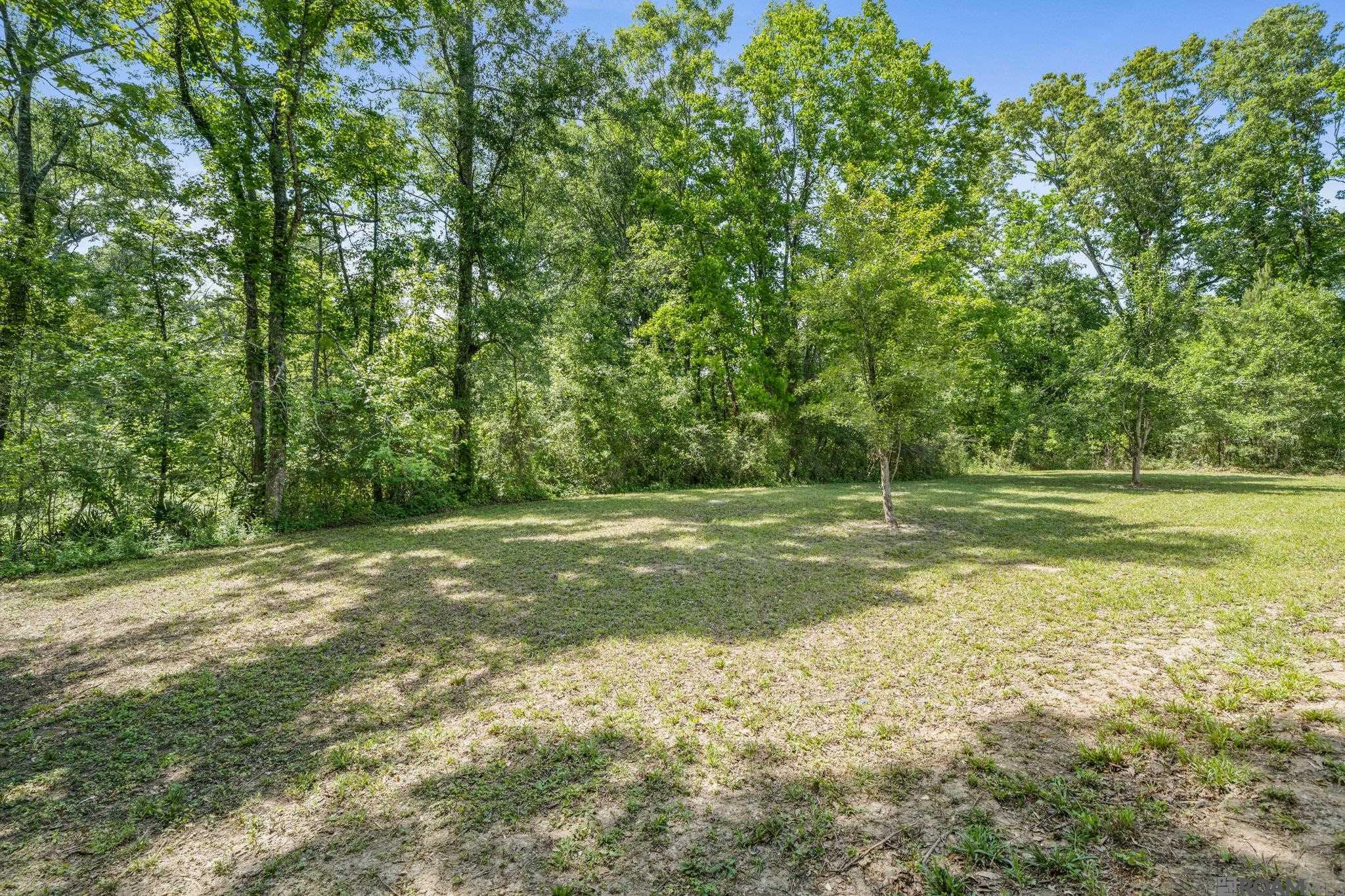 24893 Fayard Rd, Holden, Louisiana image 21
