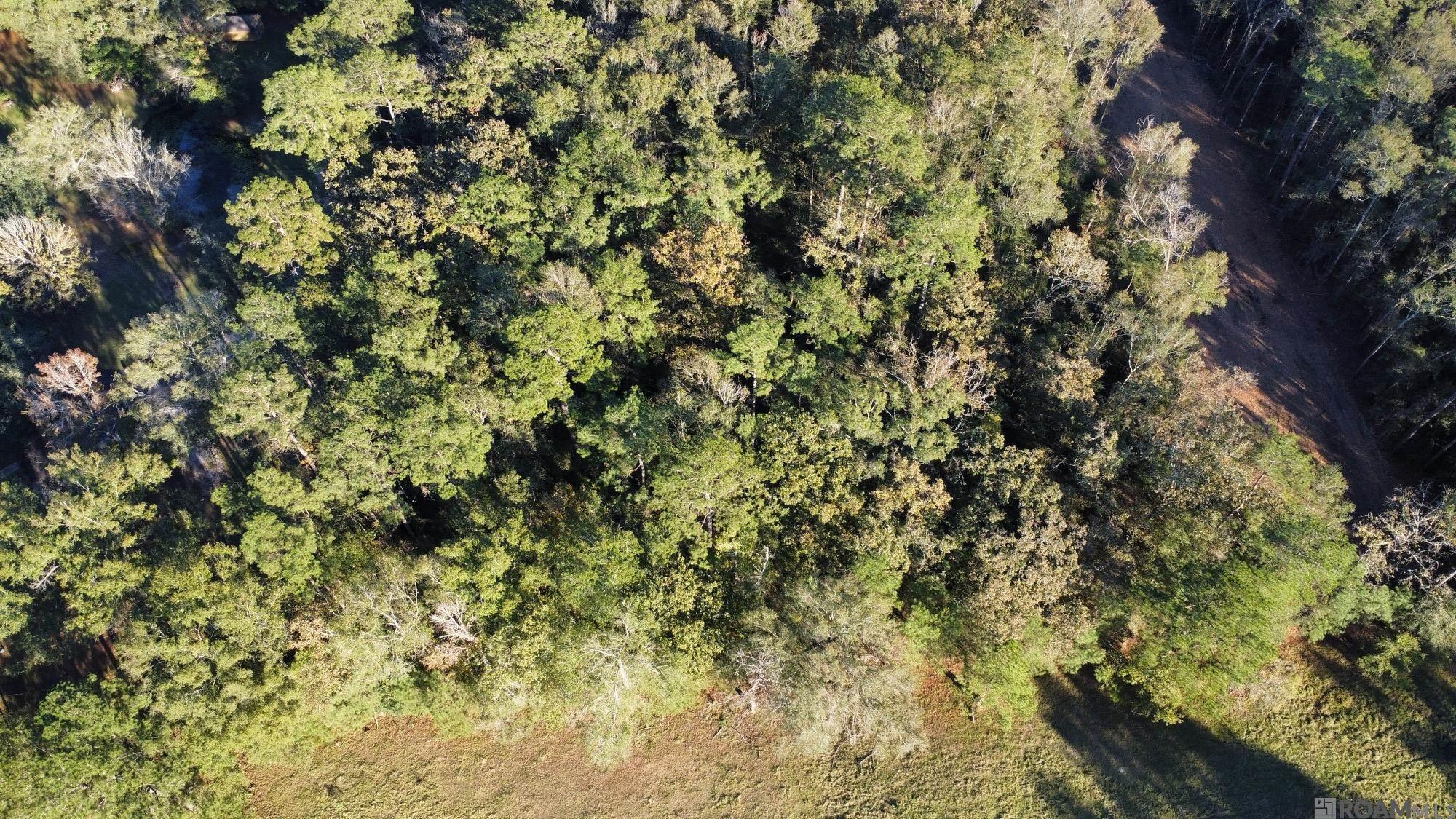 5.22 Acres Heritage Acres Ln, Robert, Louisiana image 9