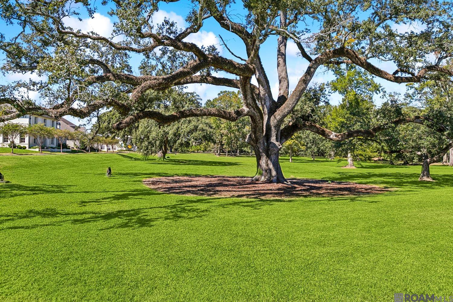 11721 Petit Pierre Ave, Baton Rouge, Louisiana image 42