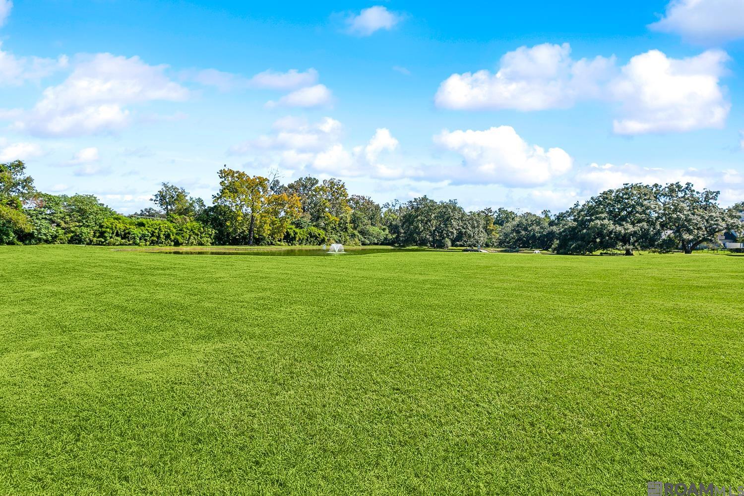 11721 Petit Pierre Ave, Baton Rouge, Louisiana image 43