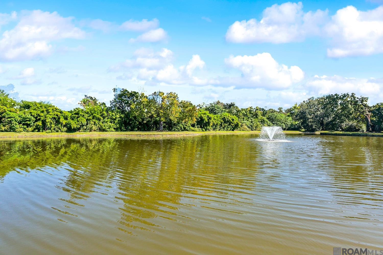 11721 Petit Pierre Ave, Baton Rouge, Louisiana image 36